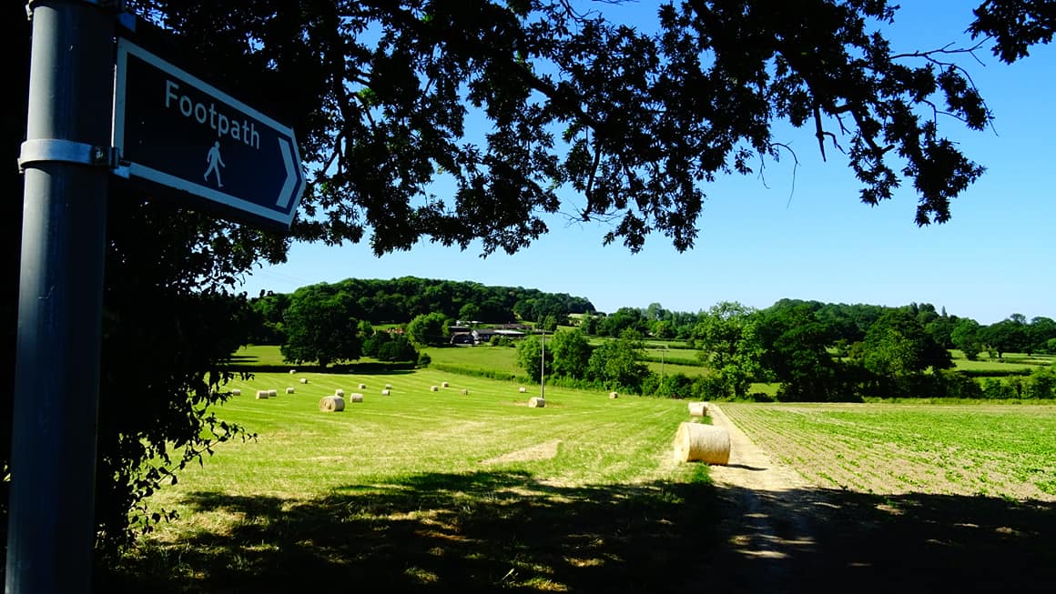 37333618_10156568453819413_8581801126532218880_o