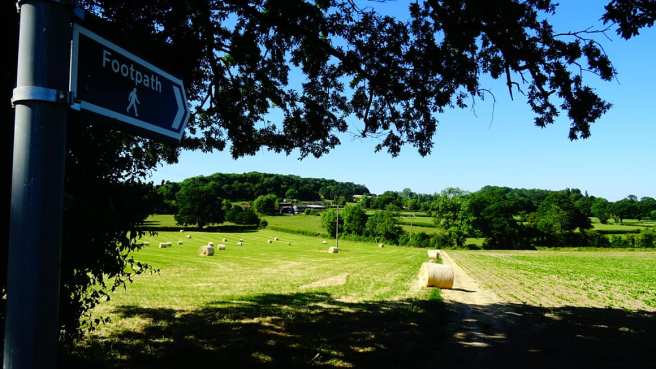 37333618_10156568453819413_8581801126532218880_o